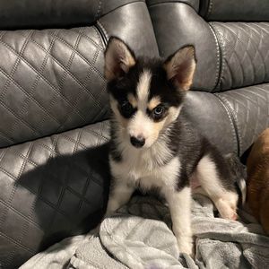 Meet your Posher, Denise